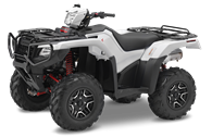 2016 Rubicon 500 Deluxe DCT IRS EPS