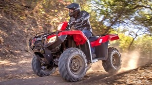 Engine & Drivetrain