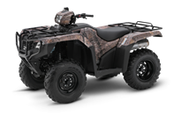 Camouflage Foreman 500