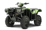 2020 Rubicon 520 DCT Deluxe