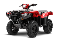 2020 Rubicon 520 DCT IRS EPS